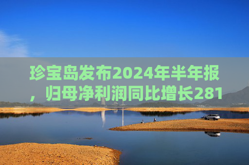 珍宝岛发布2024年半年报，归母净利润同比增长281.93%