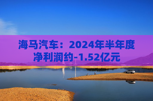 海马汽车：2024年半年度净利润约-1.52亿元