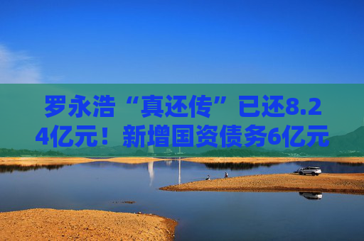 罗永浩“真还传”已还8.24亿元！新增国资债务6亿元