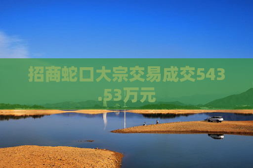 招商蛇口大宗交易成交543.53万元