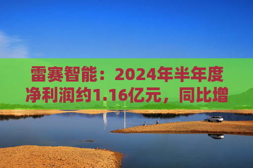 雷赛智能：2024年半年度净利润约1.16亿元，同比增加54.29%