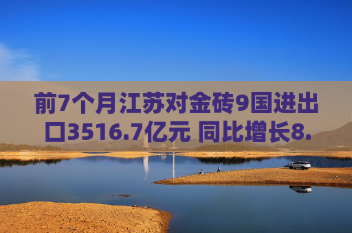 前7个月江苏对金砖9国进出口3516.7亿元 同比增长8.1%