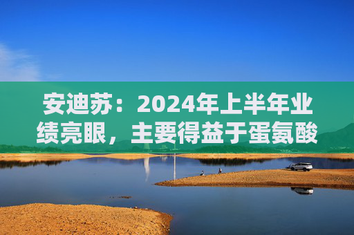 安迪苏：2024年上半年业绩亮眼，主要得益于蛋氨酸业务的强劲增长等