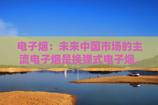 电子烟：未来中国市场的主流电子烟是换弹式电子烟，HNB品类2024年机会不是很大