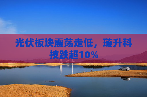 光伏板块震荡走低，琏升科技跌超10%