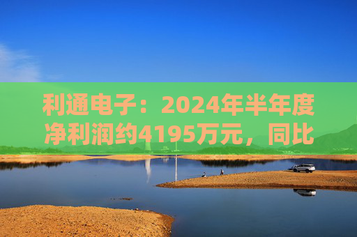 利通电子：2024年半年度净利润约4195万元，同比增加54.26%