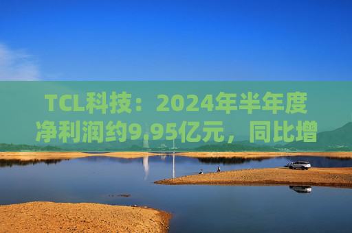 TCL科技：2024年半年度净利润约9.95亿元，同比增加192.28%