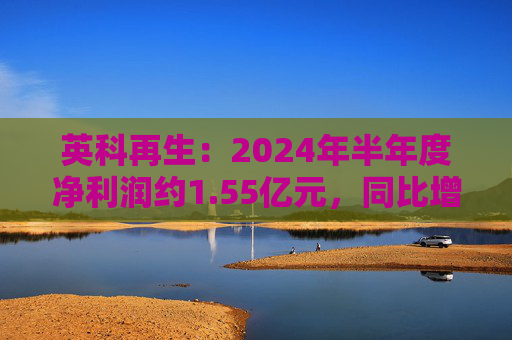 英科再生：2024年半年度净利润约1.55亿元，同比增加30.75%