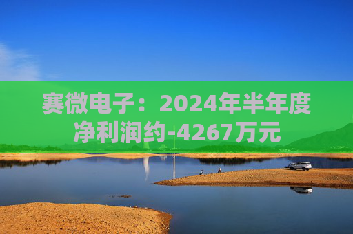 赛微电子：2024年半年度净利润约-4267万元