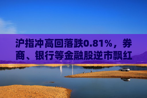 沪指冲高回落跌0.81%，券商、银行等金融股逆市飘红