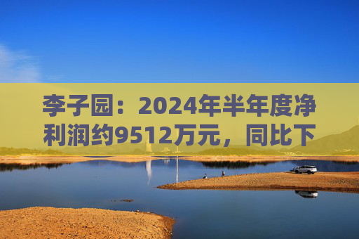 李子园：2024年半年度净利润约9512万元，同比下降29.29%