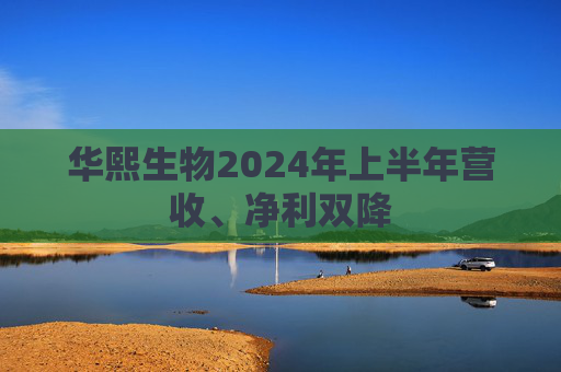 华熙生物2024年上半年营收、净利双降