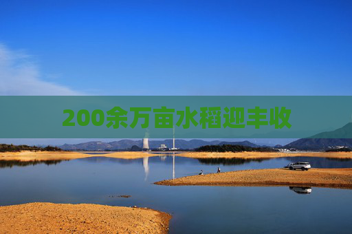 200余万亩水稻迎丰收