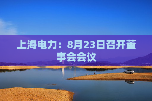 上海电力：8月23日召开董事会会议