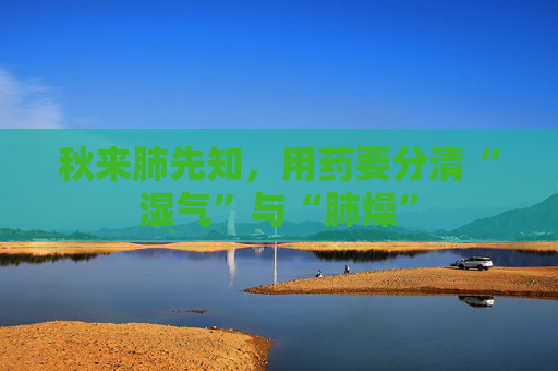 秋来肺先知，用药要分清“湿气”与“肺燥”