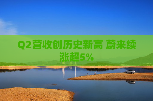 Q2营收创历史新高 蔚来续涨超5%