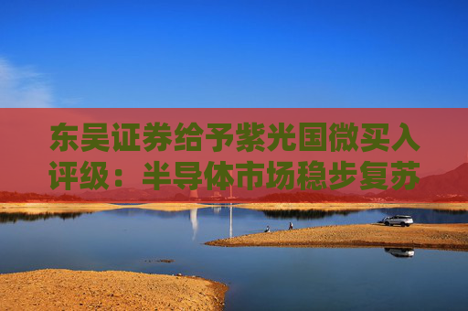 东吴证券给予紫光国微买入评级：半导体市场稳步复苏，业绩有望持续增长