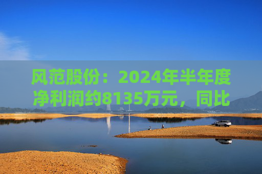 风范股份：2024年半年度净利润约8135万元，同比增加195.15%