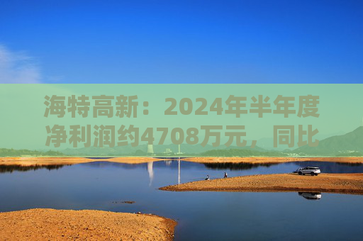 海特高新：2024年半年度净利润约4708万元，同比增加64.73%