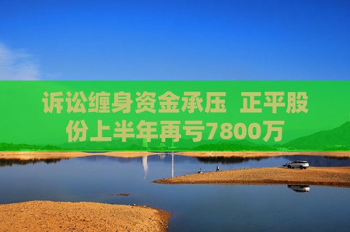 诉讼缠身资金承压  正平股份上半年再亏7800万