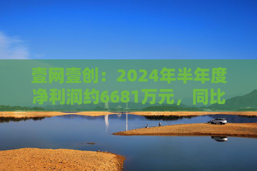 壹网壹创：2024年半年度净利润约6681万元，同比下降23.18%