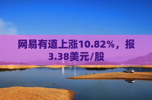 网易有道上涨10.82%，报3.38美元/股