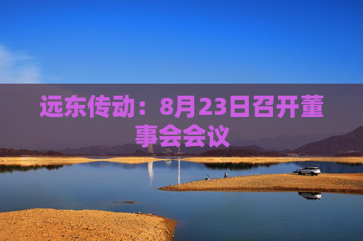 远东传动：8月23日召开董事会会议