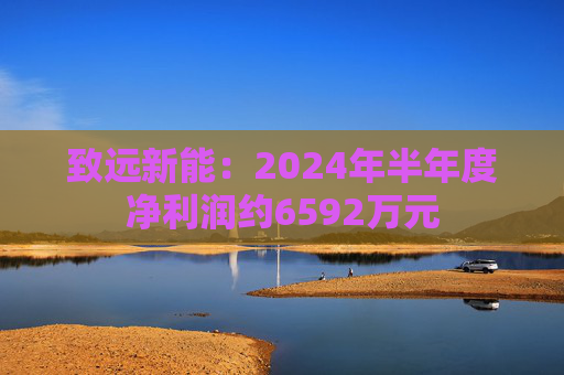 致远新能：2024年半年度净利润约6592万元