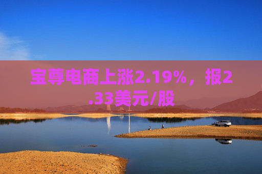 宝尊电商上涨2.19%，报2.33美元/股