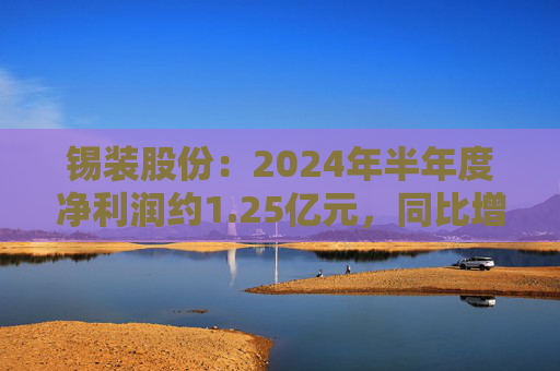 锡装股份：2024年半年度净利润约1.25亿元，同比增加23.33%