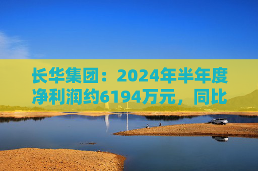 长华集团：2024年半年度净利润约6194万元，同比增加158.02%