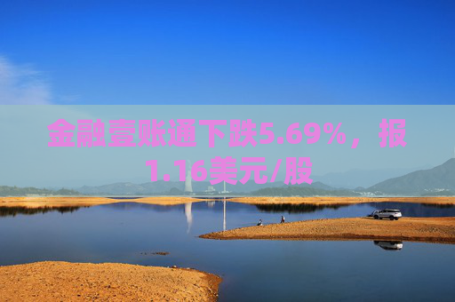 金融壹账通下跌5.69%，报1.16美元/股