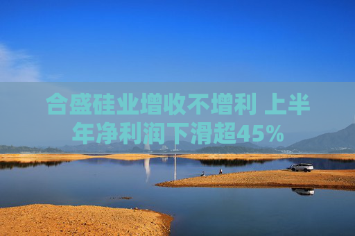 合盛硅业增收不增利 上半年净利润下滑超45%