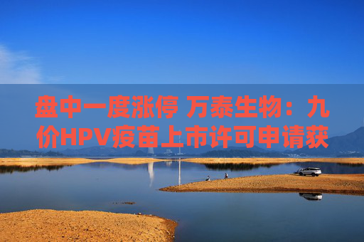 盘中一度涨停 万泰生物：九价HPV疫苗上市许可申请获受理