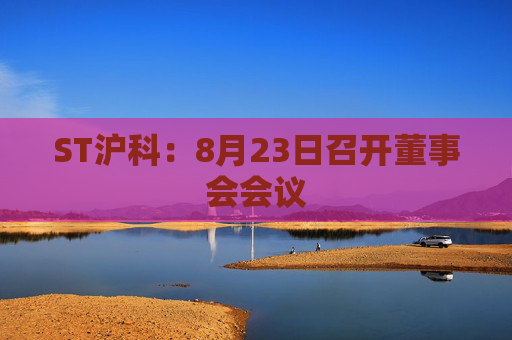 ST沪科：8月23日召开董事会会议