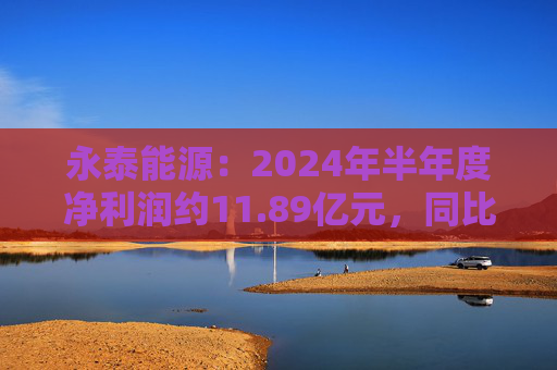 永泰能源：2024年半年度净利润约11.89亿元，同比增加17.45%